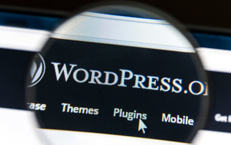 Сайты на WordPress будут автоматически блокировать технологию Google FLoC
